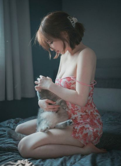 会计代账