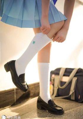 篱笆女人和狗