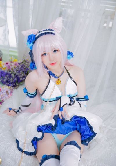 蛋蛋