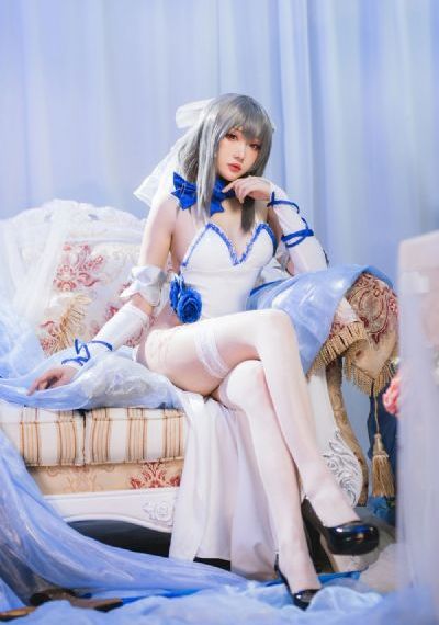 金燕子