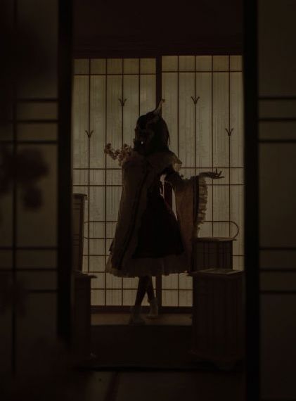藏海花